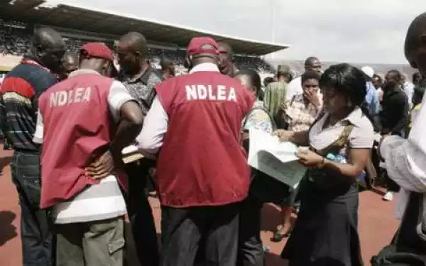 NDLEA parades three suspects for distributing hard drugs in Kano